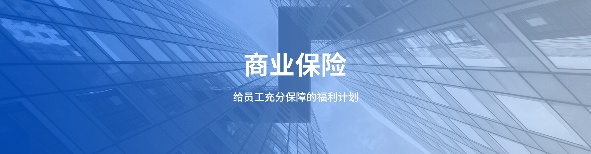 补充医疗