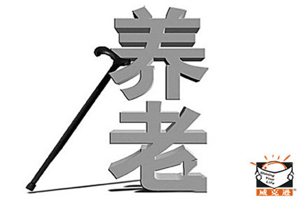 养老保险金的给付办法和给付标准——农村社会养老保险